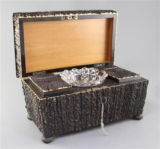 A 19th century Anglo-Indian stag horn tea caddy, 14in.